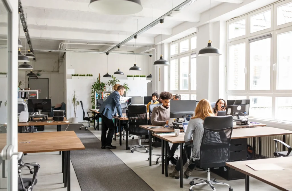 aavexn team office